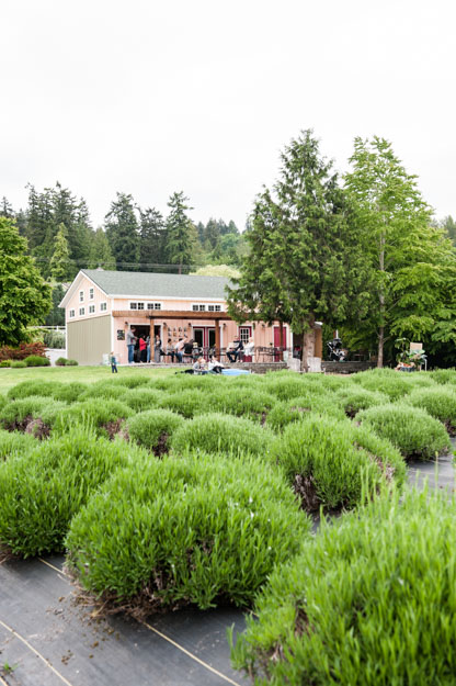 Oliver's first birthday. Woodinville Lavender Farm. Photography by I CANDI Studios