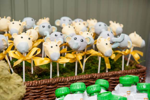 Oliver's first birthday. Woodinville Lavender Farm. Photography by I CANDI Studios