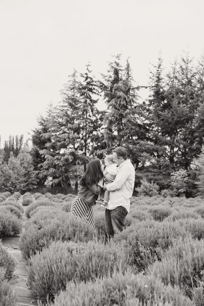 Oliver's first birthday. Woodinville Lavender Farm. Photography by I CANDI Studios