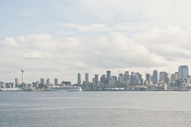 Seattle skyline. Family portraits by I CANDI Studios. 